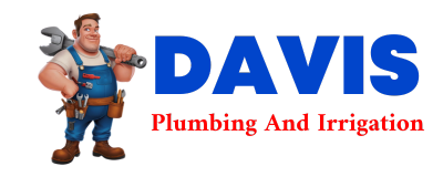 Trusted plumber in SARITA